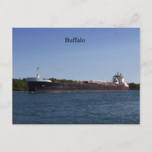 Buffelbriefkaart Briefkaart