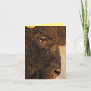 Buffelprofiel Kaart