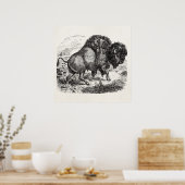  buffelretrospectie van het biondier poster (Keuken)