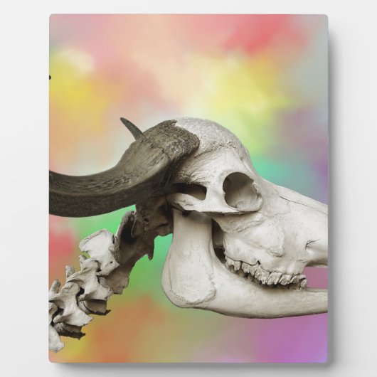 Buffelschedel op Waterverf achtergrond Fotoplaat (Voorkant)