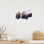 Buffelten Poster (Keuken)