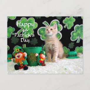 Buffington's St. Patrick's Day Cat / Kitten Briefkaart