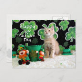 Buffington's St. Patrick's Day Cat / Kitten Briefkaart (Voorkant / Achterkant)