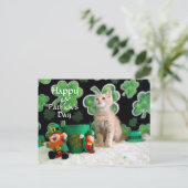 Buffington's St. Patrick's Day Cat / Kitten Briefkaart (Staand voorkant)