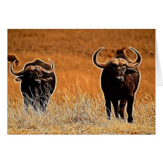 Buffle africain (Devant horizontal)