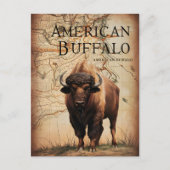 Buffle Américain Sur Une Carte (Devant)