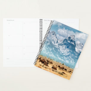 Buffle sous les montagnes du Grand Teton