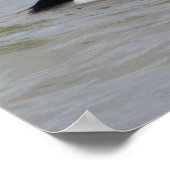 Bufflehead Duck Photo Poster (Hoek)