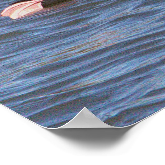 Bufflehead Duck Poster (Hoek)