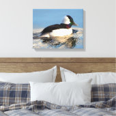 Bufflehead Eend Premium Verpakt Canvas (Glans) Afdruk (Insitu (Slaapkamer))