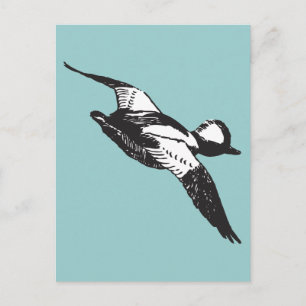 Bufflehead Sketch Briefkaart