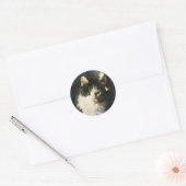 Buffy - Detail #3 Sticker (Envelop)