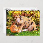 "Buffy's pomkin"  Briefkaart (Voorkant / Achterkant)