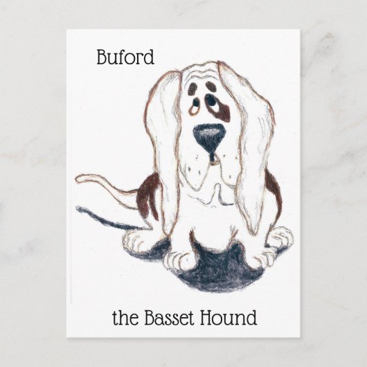 Buford la carte postale du basset hound (Devant)