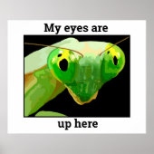 Bug 2 poster (Voorkant)