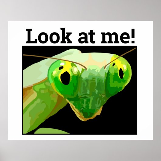 BUG 3 POSTER (Voorkant)