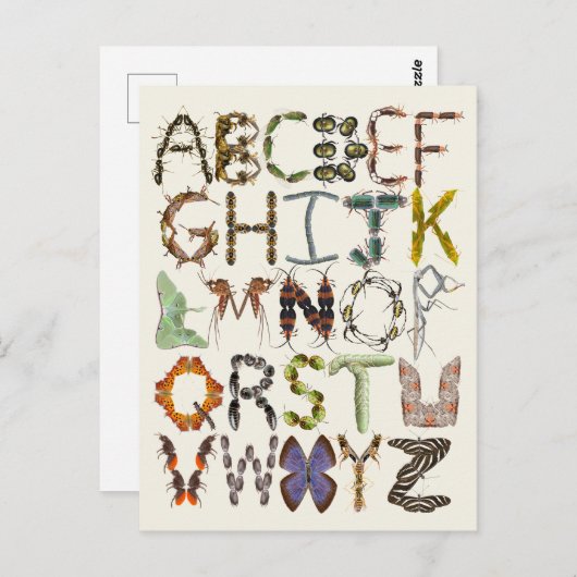 Bug Alphabet - Insect thema Kinder kunst Briefkaart (Voorkant / Achterkant)