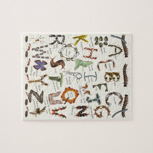 Bug Alphabet Puzzle \ Insect ABCs Legpuzzel (Horizontaal)