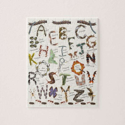 Bug Alphabet Puzzle \ Insect ABCs Legpuzzel (Verticaal)