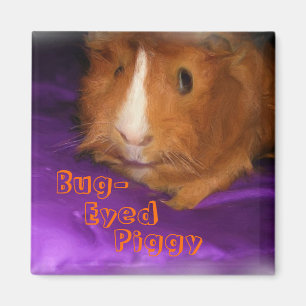 Bug-Eyed Piggy Guinee Pig Magnet Magneet