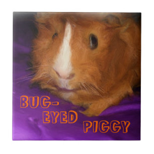 BUG-EYED PIGGY Guinee-Tegel Tegeltje