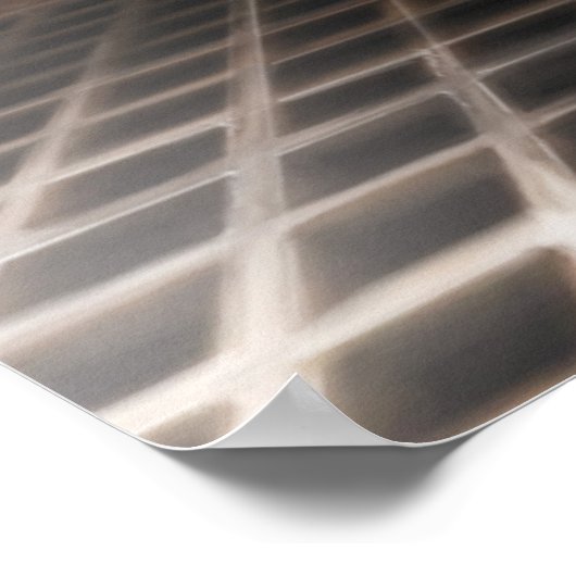 Bug Hunt Poster (Hoek)