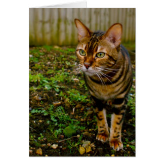 Bug Hunter