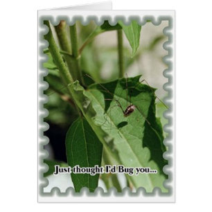 Bug je