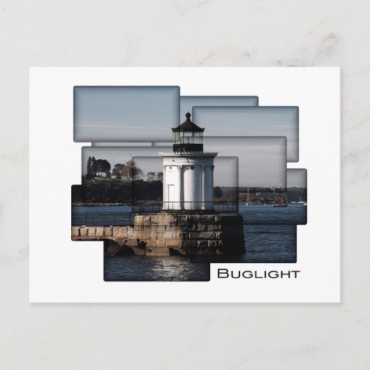 Bug Light Painting Briefkaart (Voorkant)