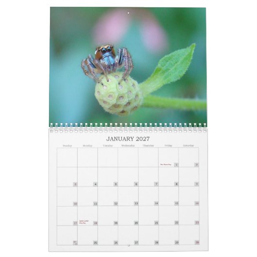 Bug me! kalender (Jan 2027)