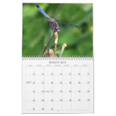 Bug me! kalender (Mar 2026)
