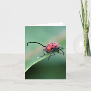 Bug met attitude-natuurfotografie notitiekaartje