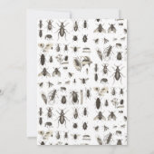 Bug of Insect Theme Birthday Party (Achterkant)