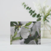 Bug op een Azalea Briefkaart (Staand voorkant)