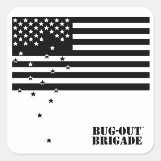 BUG-OUT Brigade Vallende Sterren Stickers