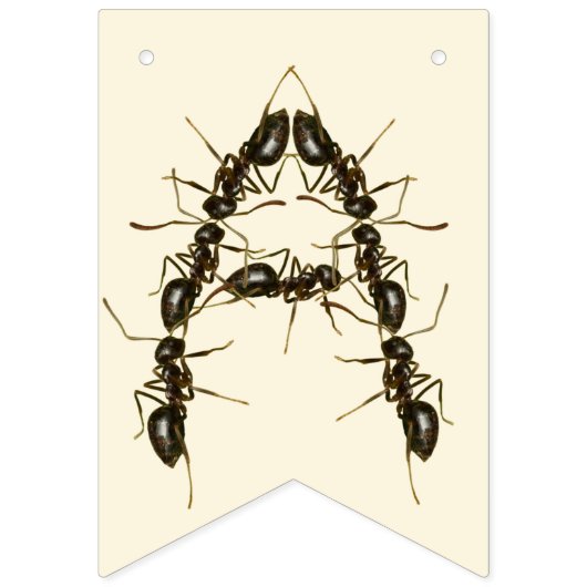 Bug Verjaardag - Insecten Verjaardag Vlaggetjes (Derde vlag)