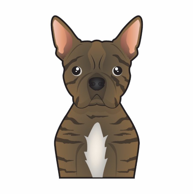 Bugg Dog Cartoon Staand Fotobeeldje (Voorkant)