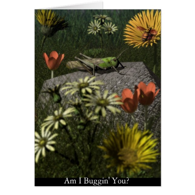 Buggin ik jou? (Voorkant)