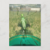 Buggy 1 - opgeleide brainfart briefkaart (Voorkant)