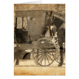 Buggy Avant Le Cheval, Amish Ramenez Le Nouveau Ch
