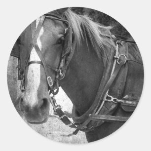 Buggy Horse bij de Hitching Post Ronde Sticker