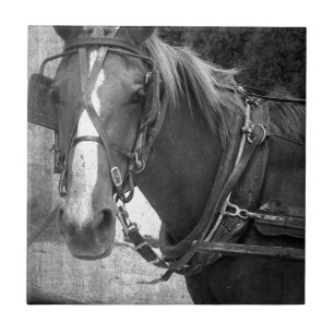 Buggy Horse bij Hitching Post Tegeltje