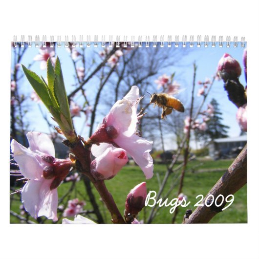 bugkalender kalender (Hoes)