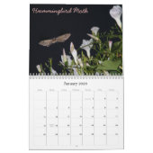 bugkalender kalender (Jan 2026)
