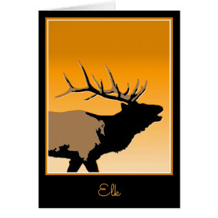 Bugling Bull Elk bij Sunset Original Wildlife Art