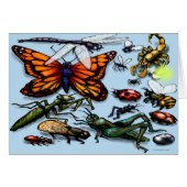 Bugs (Devant horizontal)