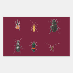 Bugs 2011 rechthoekige sticker