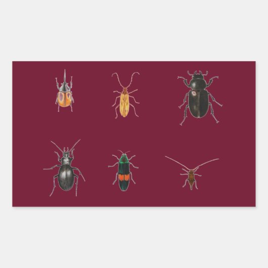 Bugs 2011 rechthoekige sticker (Voorkant)