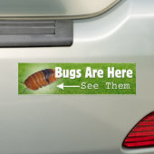 Bugs Are Here...Isopod Edition Bumper Sticker (En voiture)