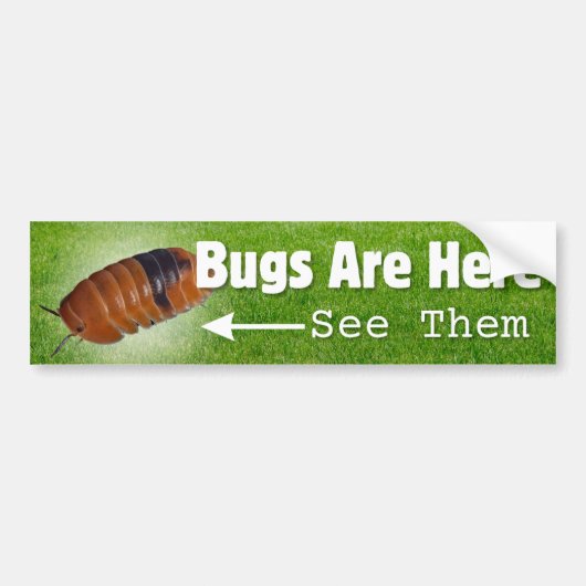 Bugs Are Here...Isopod Edition Bumper Sticker (Devant)